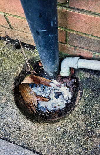 https://plumberdianella.com.au/uploads/2025/06/blocked-drains-294506.jpg