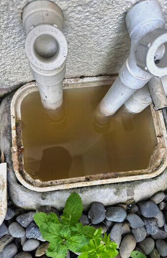 https://plumberdianella.com.au/uploads/2025/06/blocked-drains-912576.jpg